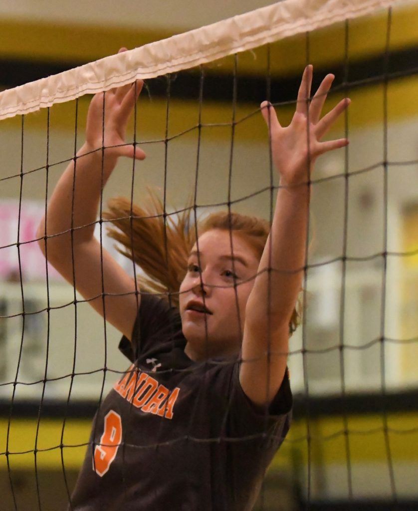 Aubrey Pope makes a play at the net for Alexandria.