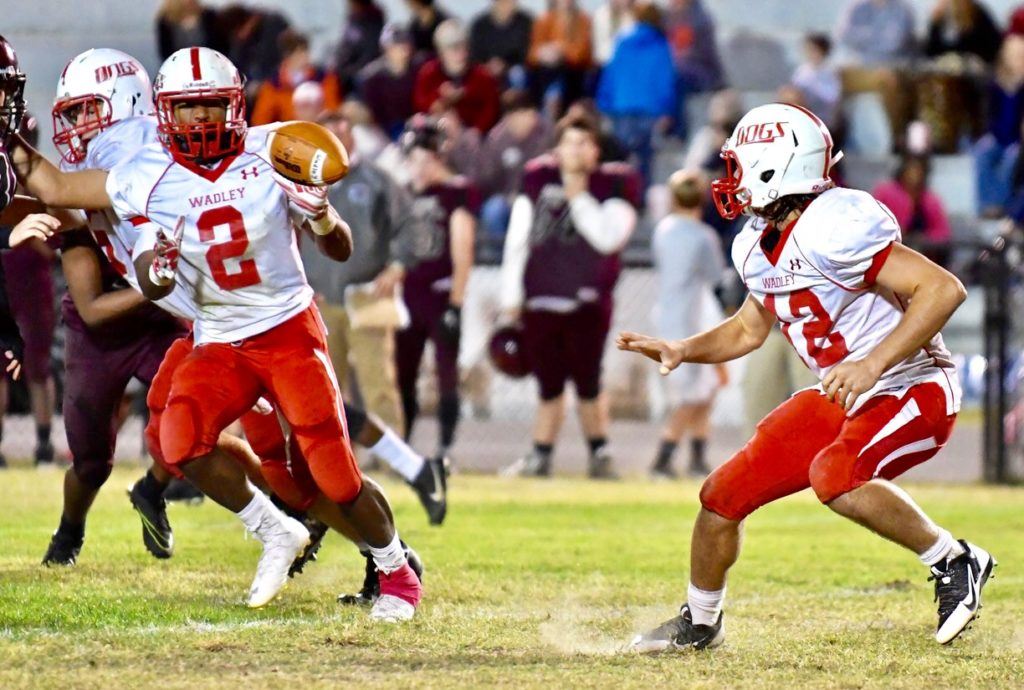 Tyrese Sheppard (2) and Connor Fordham are a strong combination in the backfield. They accounted for five of the Bulldogs' touchdowns Friday night. (All photos by B.J. Franklin/GungHo Photos)