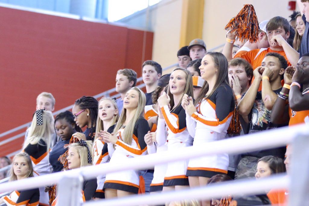 Alexandria's fans had a lot to cheer about as their team won two matches to reach Thursday's state championship match.